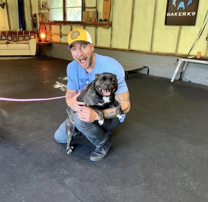 Baker K9 trained dog